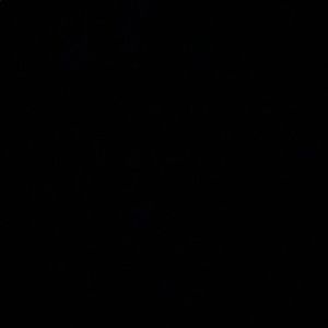 Meet your Posher, Kaelyn